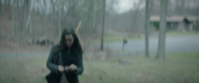 PTBR001.jpg
