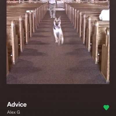 PTBR01843.jpg