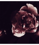 Filename=PTBR00922.jpg
Filesize=67KiB
Dimensions=1080x1080
Date added=Dec 25, 2022 PTBR00922.jpg