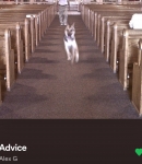 Filename=PTBR01843.jpg
Filesize=175KiB
Dimensions=1440x1440
Date added=Dec 25, 2022 PTBR01843.jpg