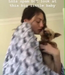 Filename=BEBES21_Phoebe_via_Instagram_Stories__2.jpg
Filesize=64KiB
Dimensions=640x1136
Date added=Sep 20, 2018 BEBES21_Phoebe_via_Instagram_Stories__2.jpg