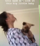 Filename=BEBES21_Phoebe_via_Instagram_Stories__5.jpg
Filesize=57KiB
Dimensions=640x1136
Date added=Sep 20, 2018 BEBES21_Phoebe_via_Instagram_Stories__5.jpg