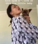 Filename=BEBES21_Phoebe_via_Instagram_Stories__7.jpg
Filesize=74KiB
Dimensions=640x1136
Date added=Sep 20, 2018 BEBES21_Phoebe_via_Instagram_Stories__7.jpg