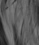 GIRLS_IN_FRAME___PHOEBE_TONKIN_455.jpg