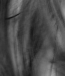 GIRLS_IN_FRAME___PHOEBE_TONKIN_456.jpg