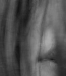 GIRLS_IN_FRAME___PHOEBE_TONKIN_458.jpg