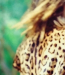 Filename=Phoebe_Tonkin_In_Focus___Watch_The_Originals__Actress_and_Aussie_Beauty_on_The_Influence_230.jpg
Filesize=132KiB
Dimensions=1920x1080
Date added=Oct 08, 2018 Phoebe_Tonkin_In_Focus___Watch_The_Originals__Actress_and_Aussie_Beauty_on_The_Influence_230.jpg
